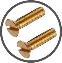 Brass Screws